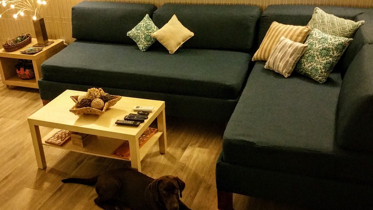 Photo of Livingroom in San Juan del Sur