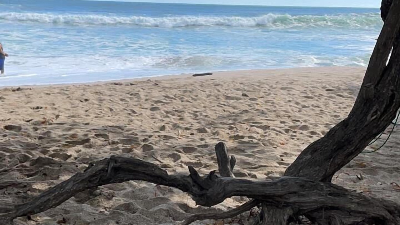 Photo of Others in Playa Langosta