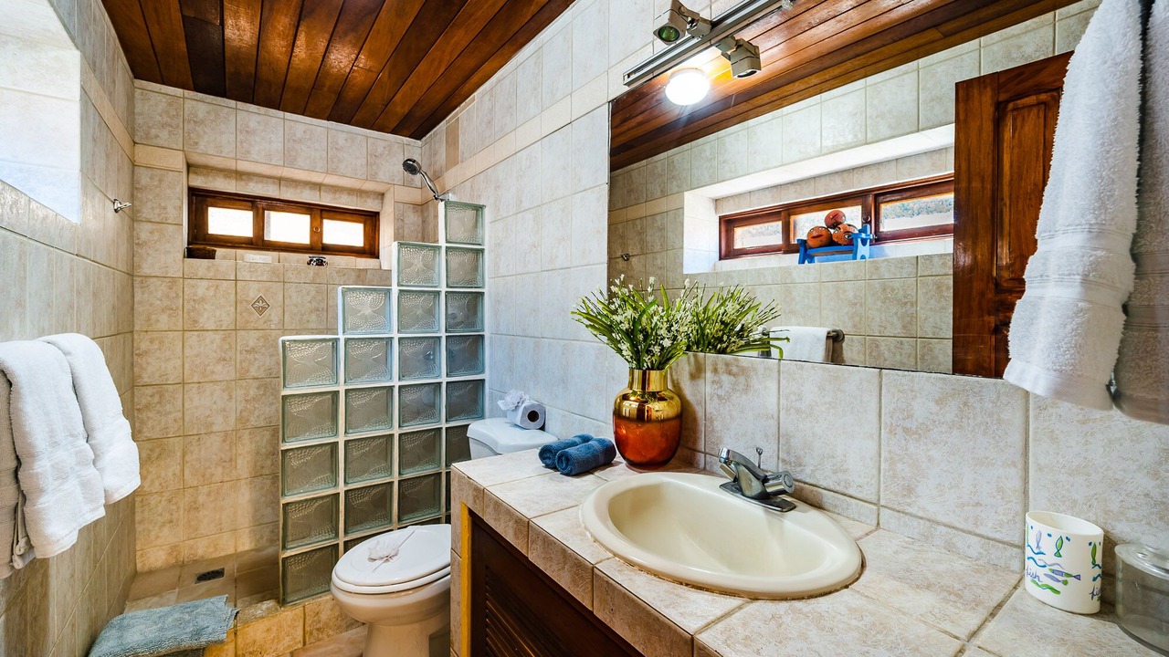 Photo of Bathroom in Playa Langosta