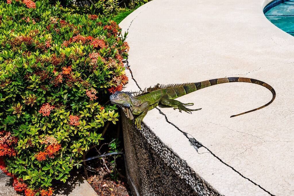 Photo of Others in Rio Seco