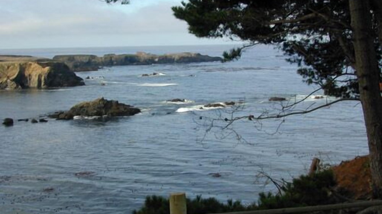 Photo of Others in Mendocino