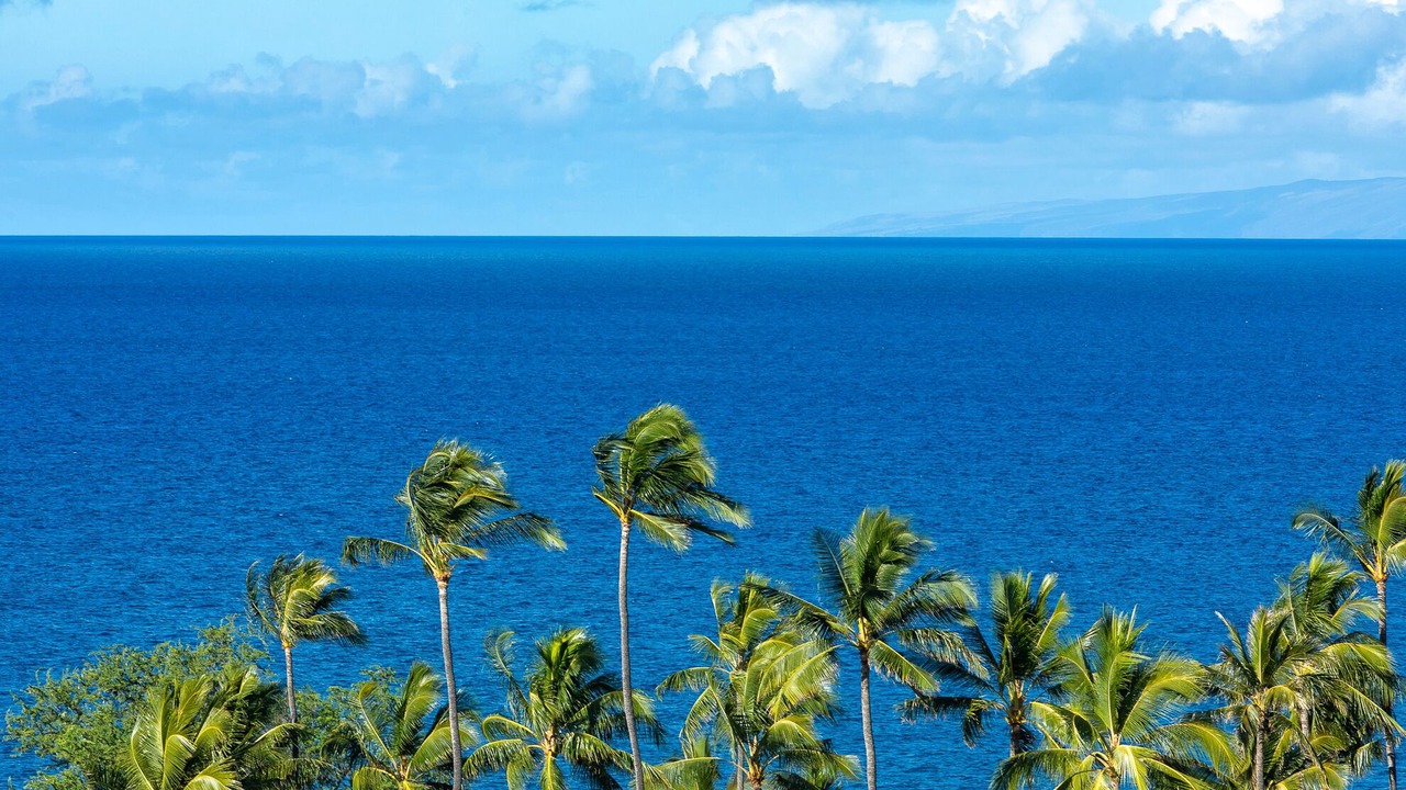 Photo of Others in Wailea