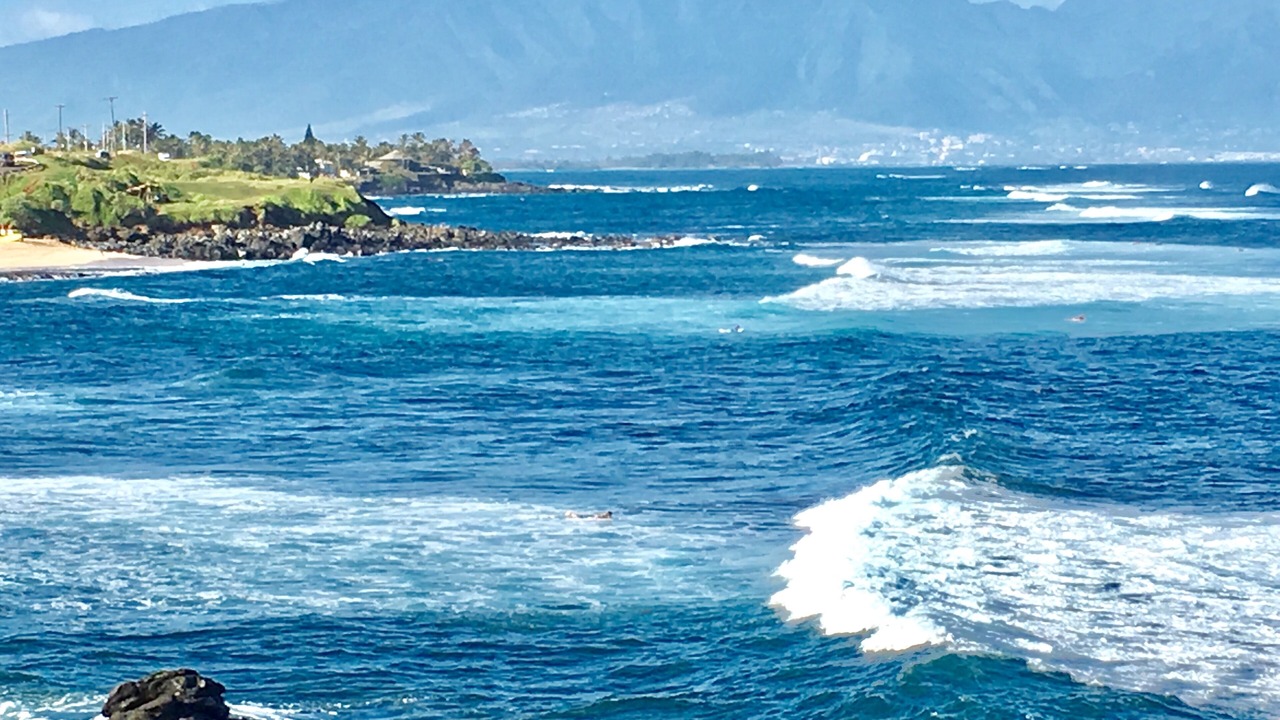 Photo of Others in Pukalani