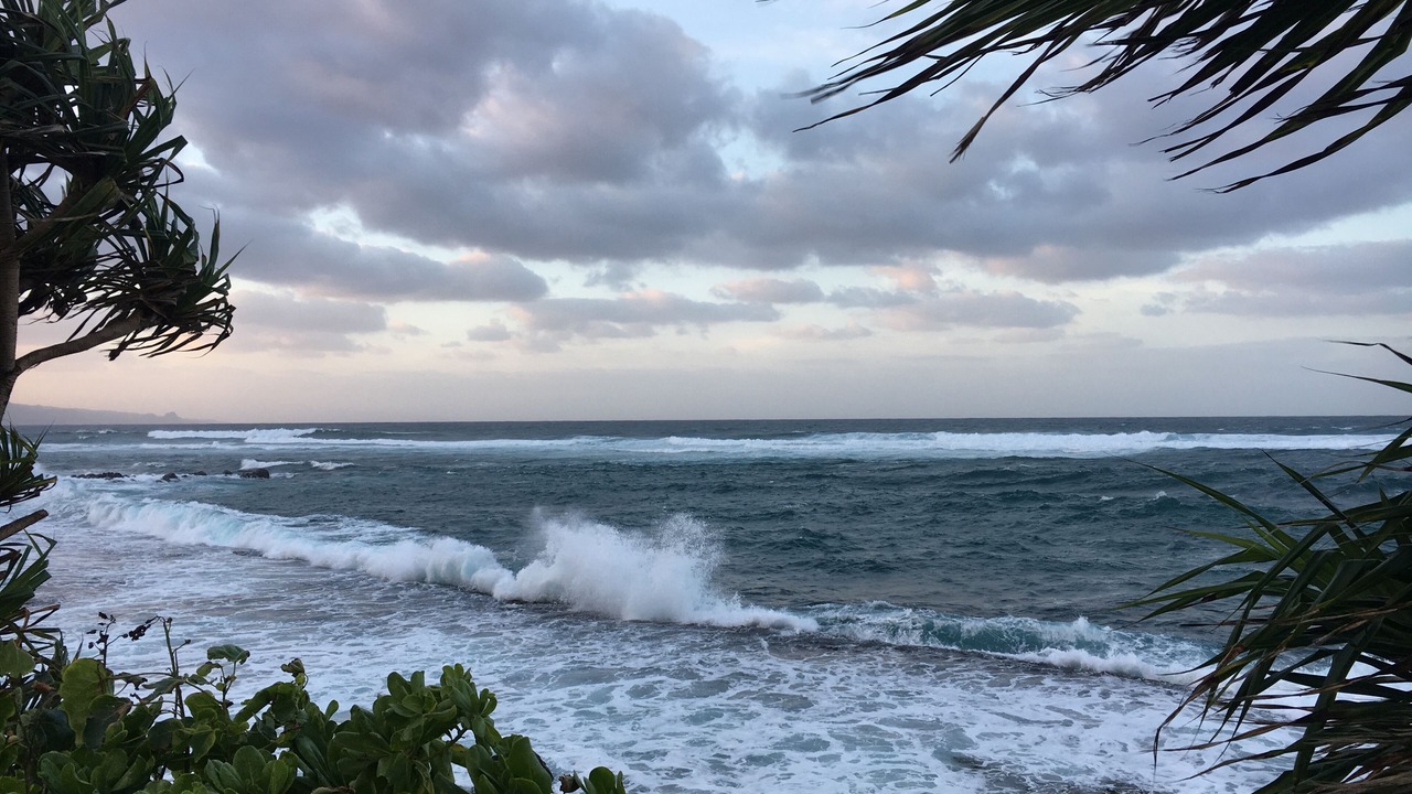 Photo of Others in Pukalani
