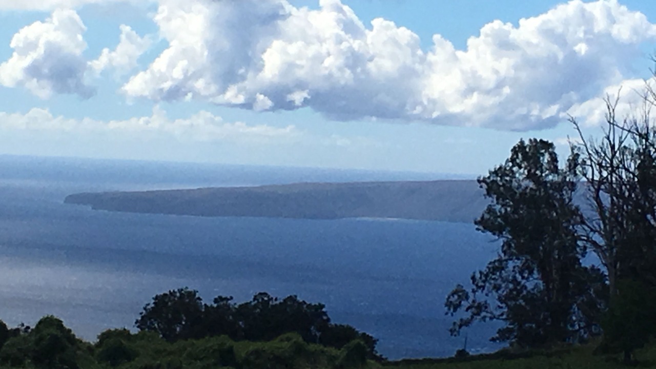 Photo of Others in Pukalani