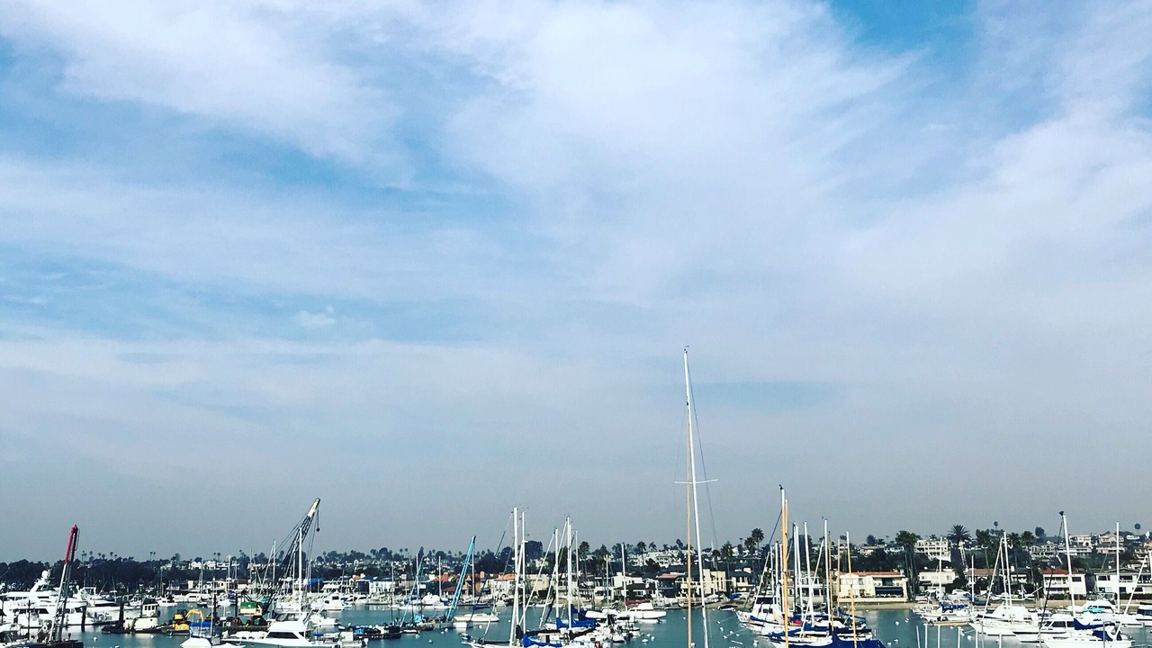 Photo of Others in West Newport