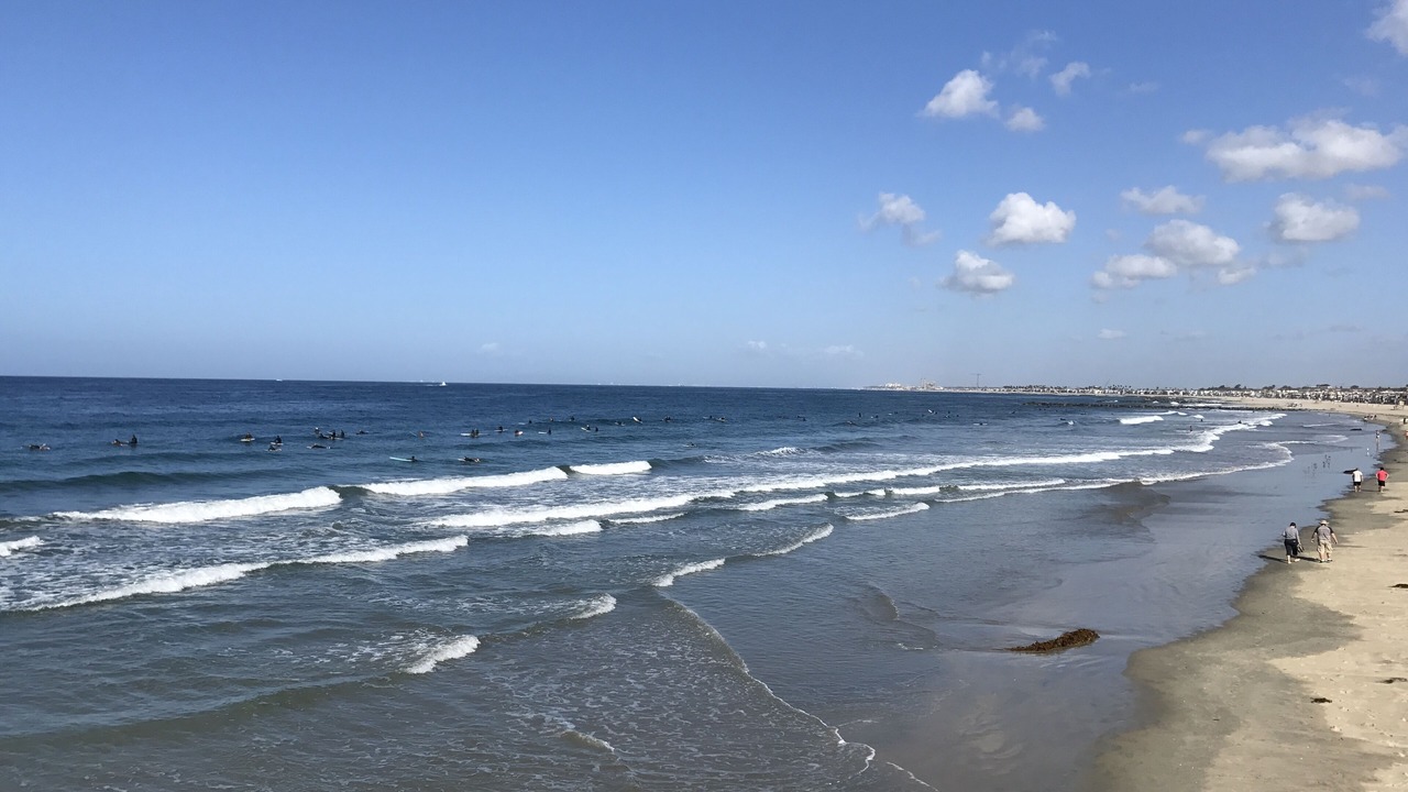 Photo of Others in West Newport