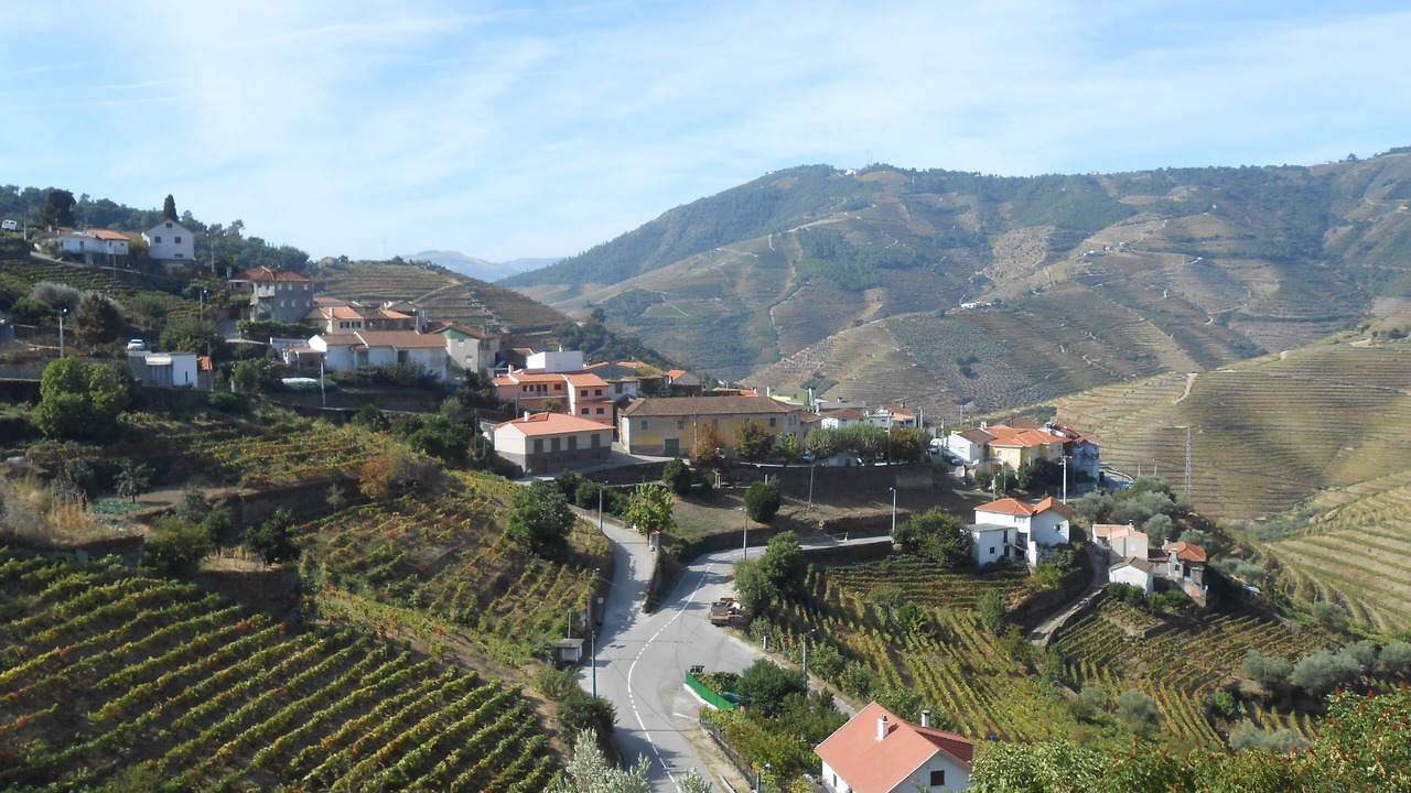 Photo of Others in Bomfim