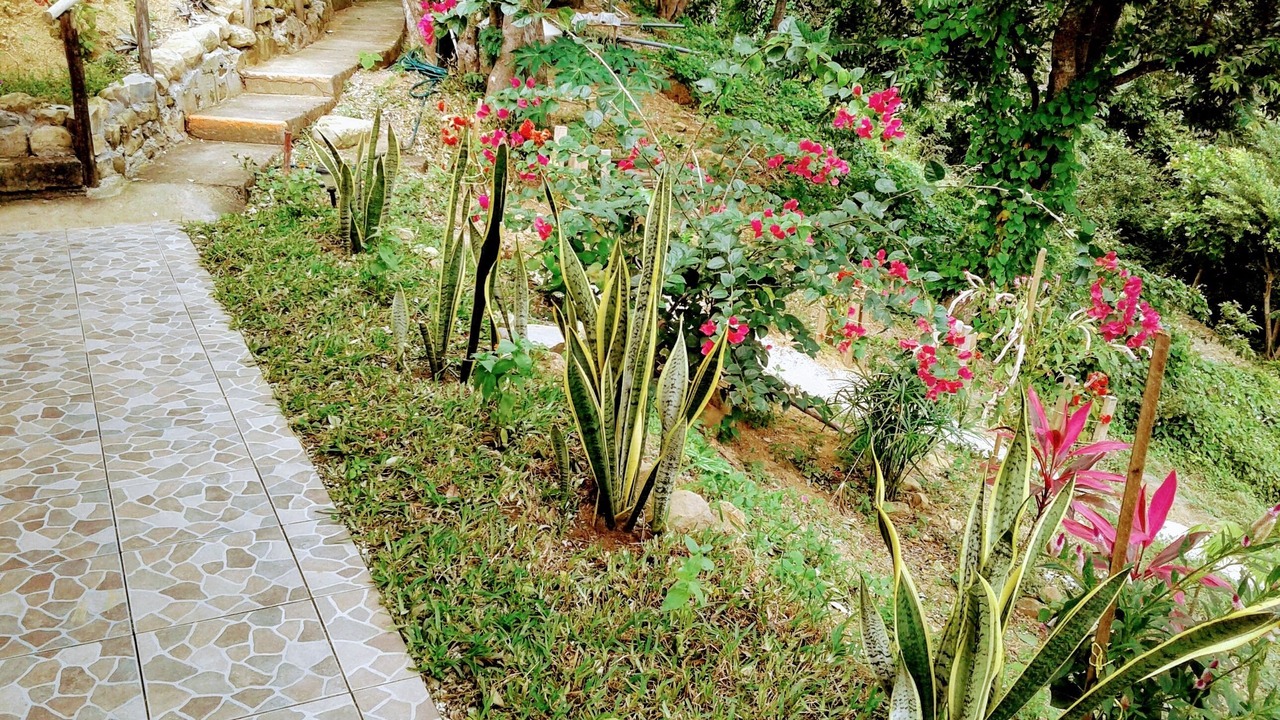 Photo of Outdoor in San Juan del Sur