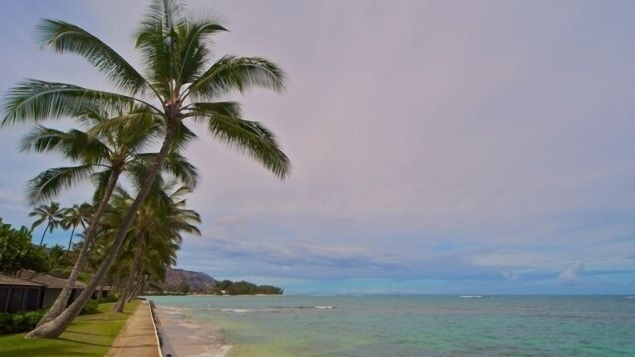 Photo of Others in Waialua