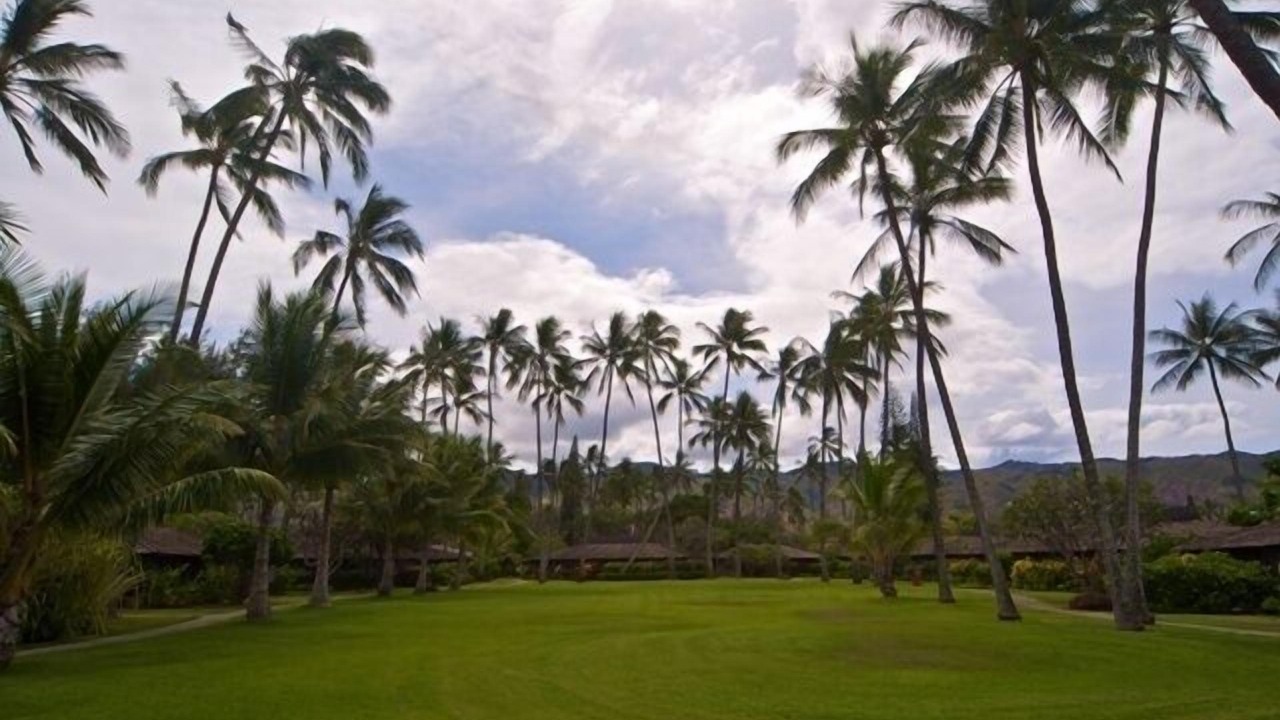 Photo of Others in Waialua