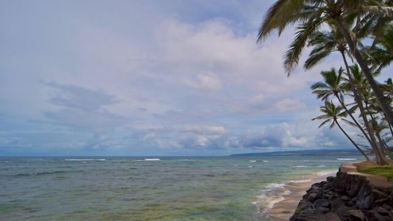 Photo of Others in Waialua