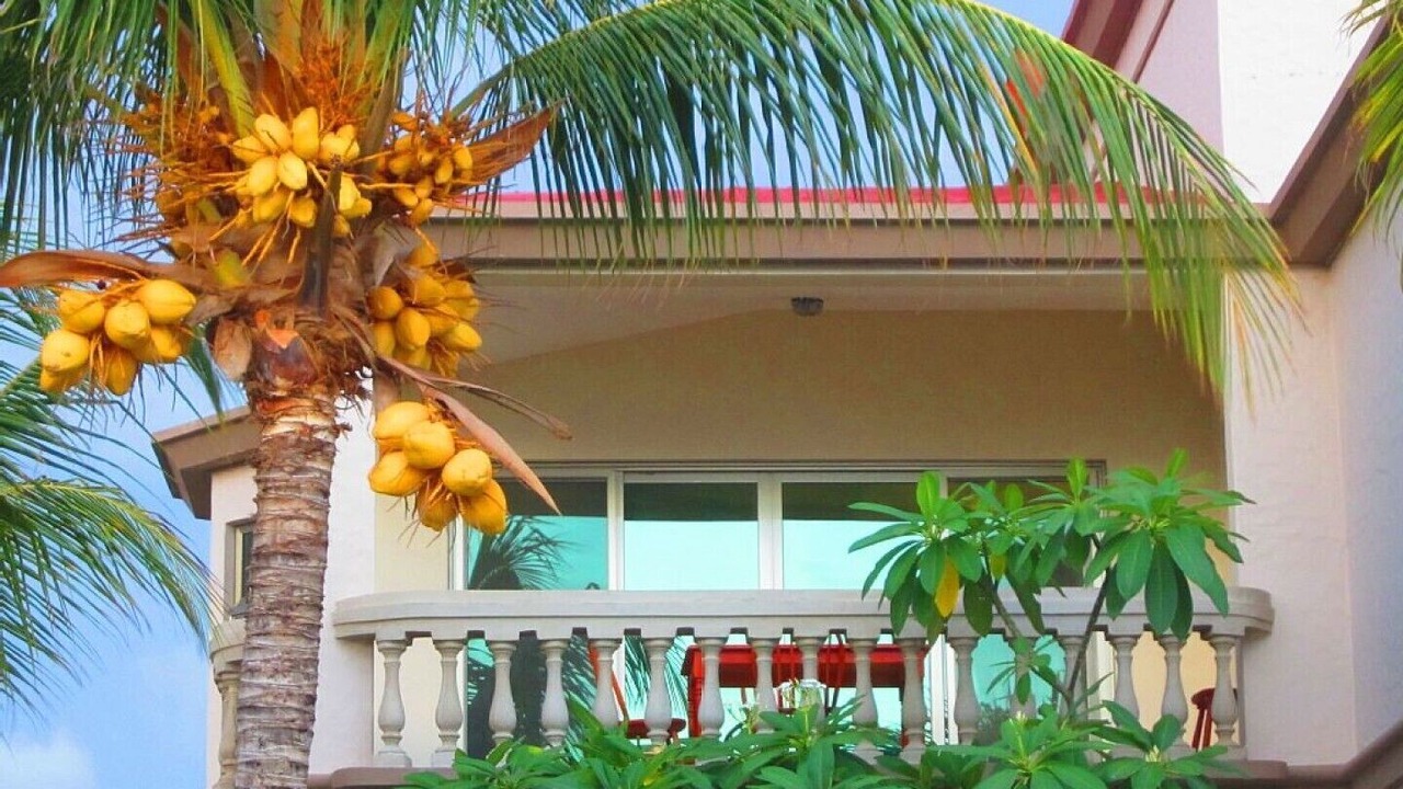 Photo of Outdoor in Rancho Santana