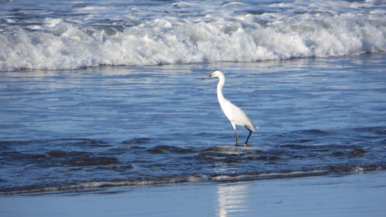 Photo of Others in Rancho Santana