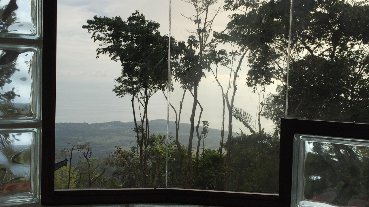 Photo of Outdoor in Ballena