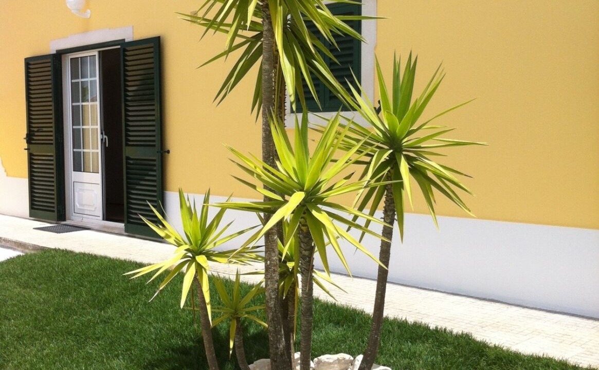 Photo of Outdoor in Mafra