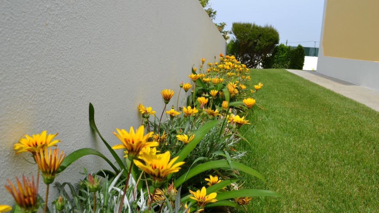 Photo of Outdoor in Mafra