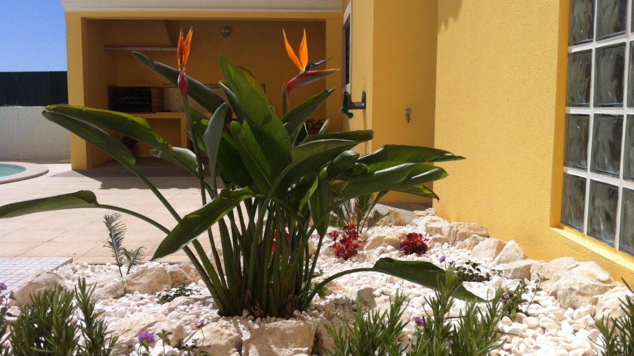 Photo of Outdoor in Mafra