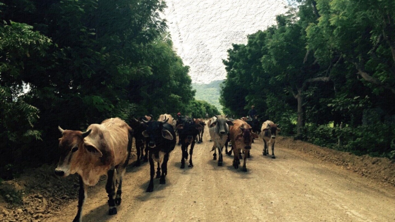 Photo of Others in Rancho Santana