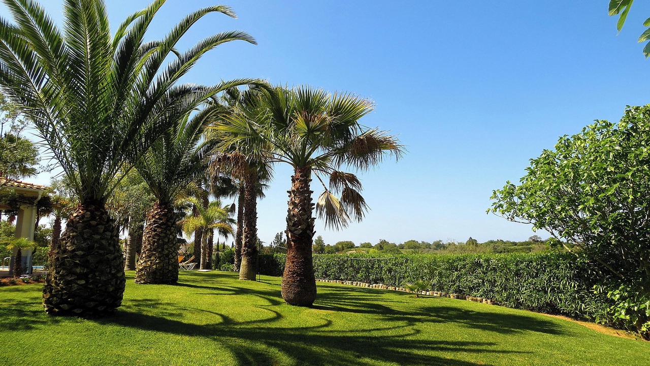 Photo of Outdoor in Estombar