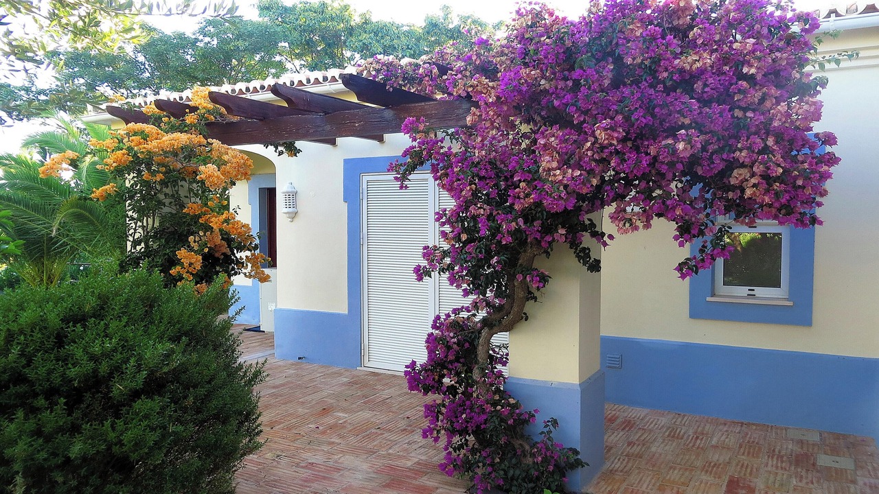 Photo of Outdoor in Estombar