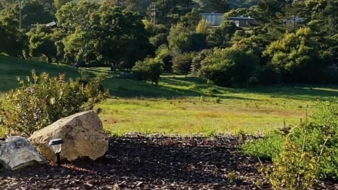 Photo of Others in Arroyo Grande