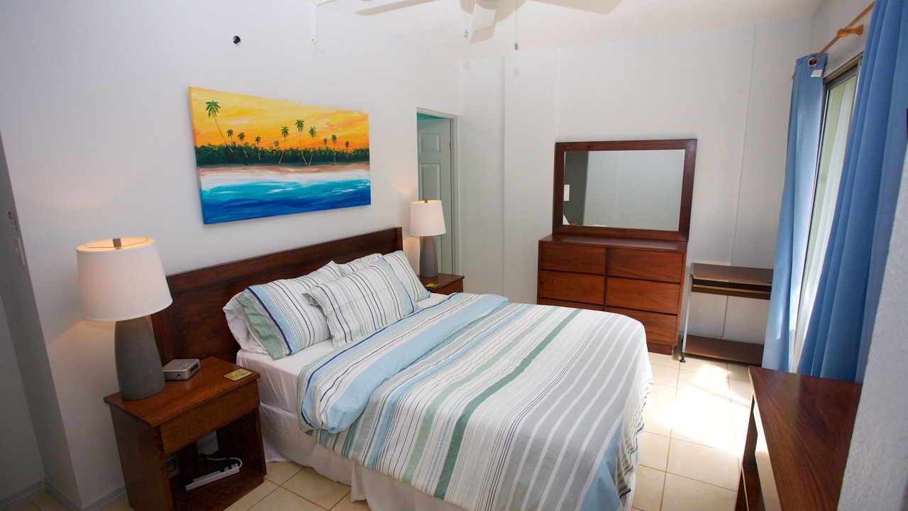 Photo of Bedroom in Tamarindo