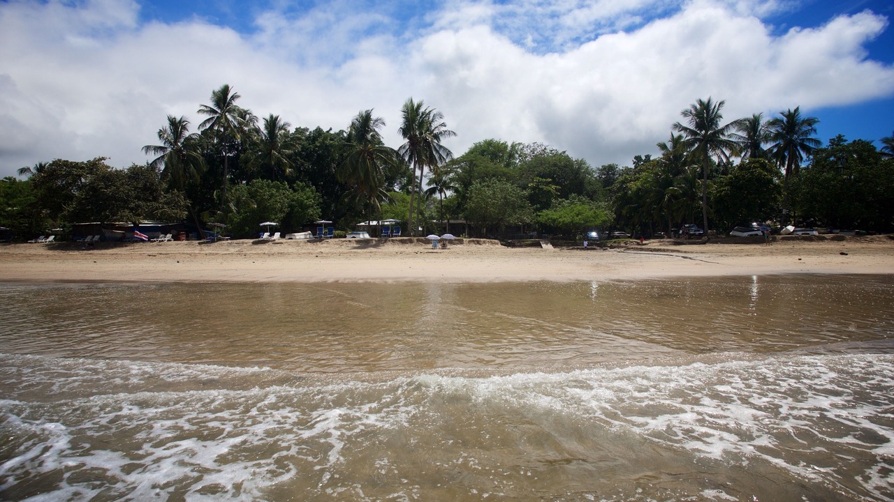 Photo of Others in Tamarindo