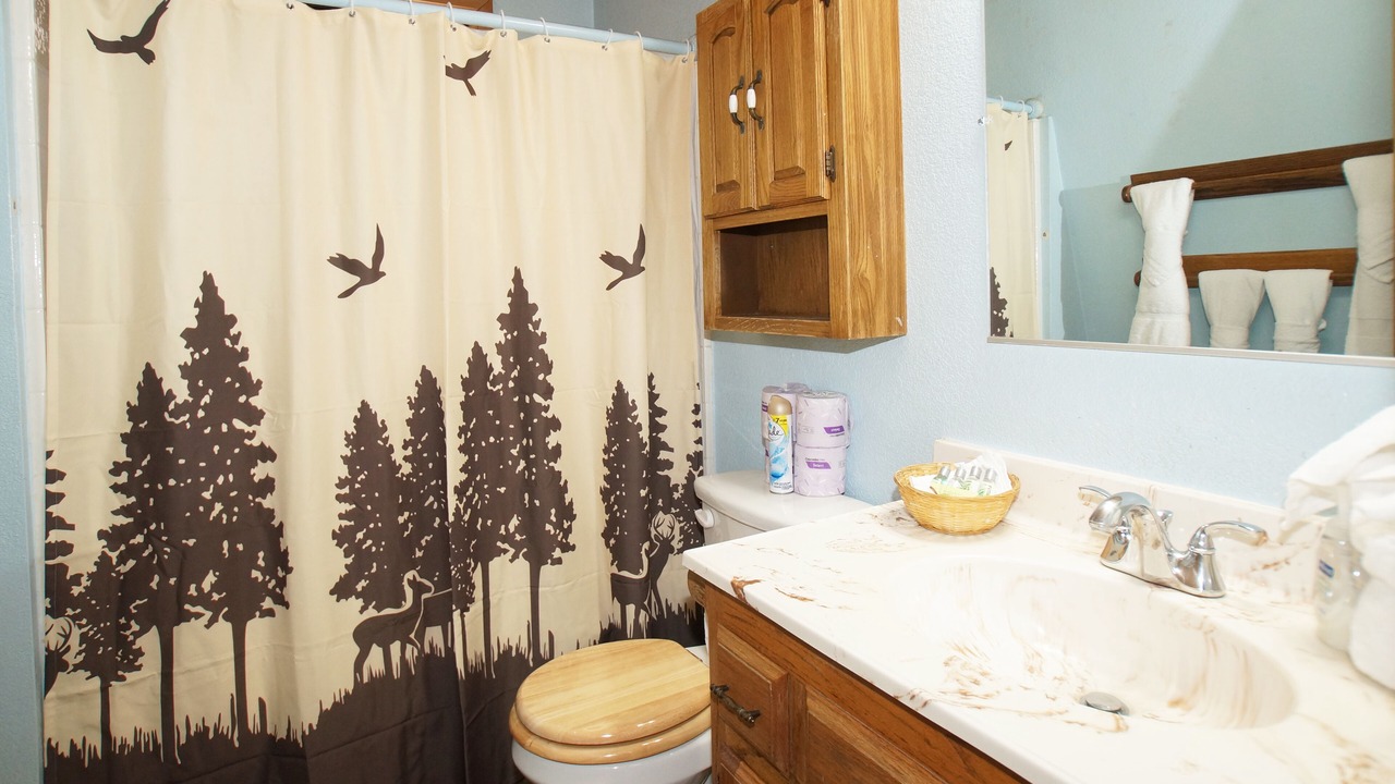 Photo of Bathroom in Big Bear City