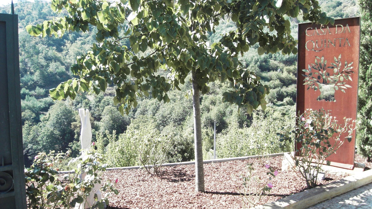Photo of Outdoor in Lamego
