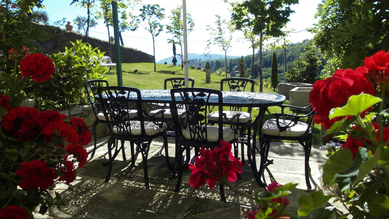 Photo of Outdoor in Lamego