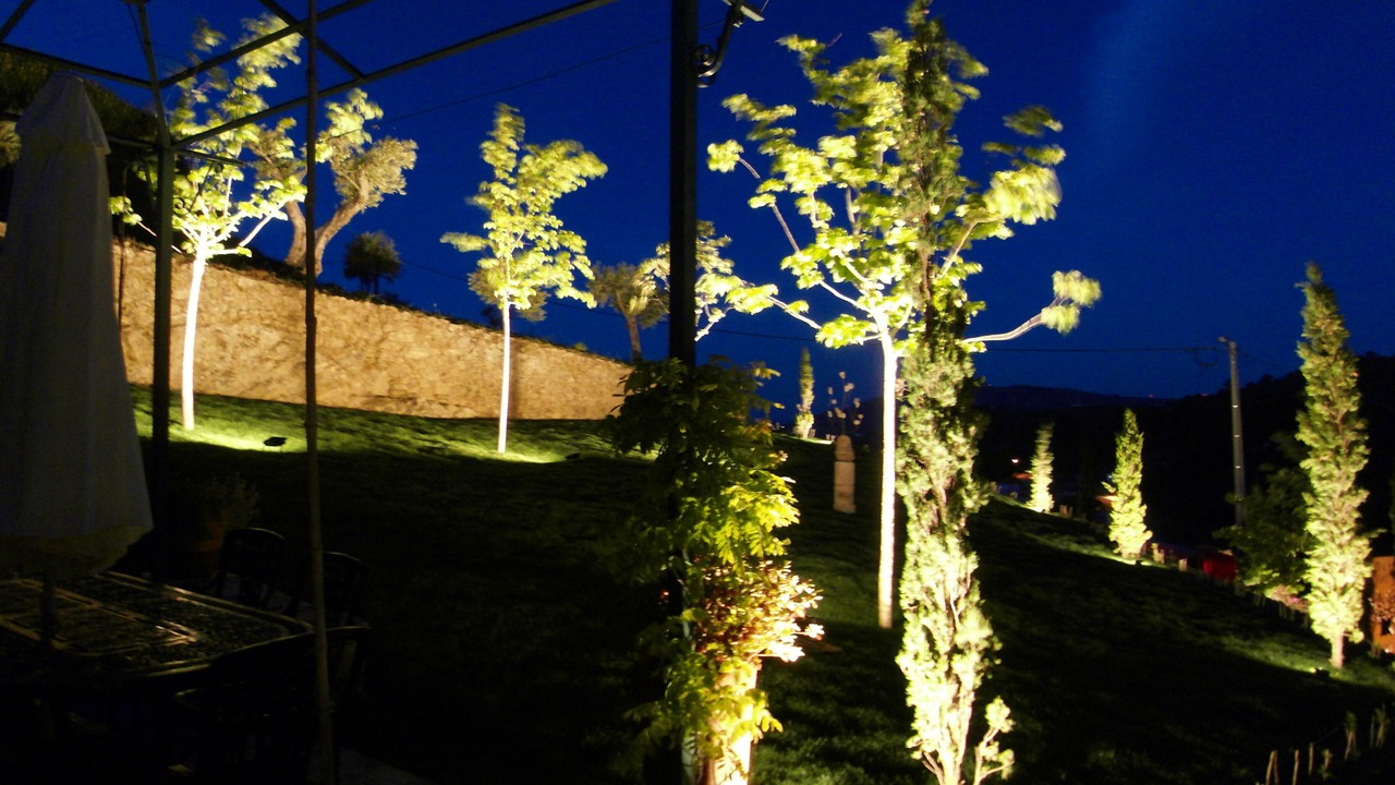 Photo of Outdoor in Lamego