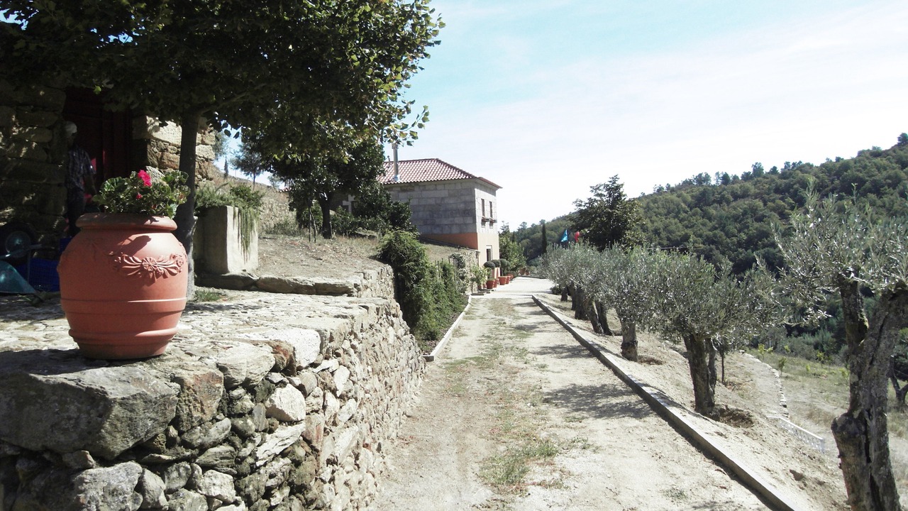 Photo of Outdoor in Lamego