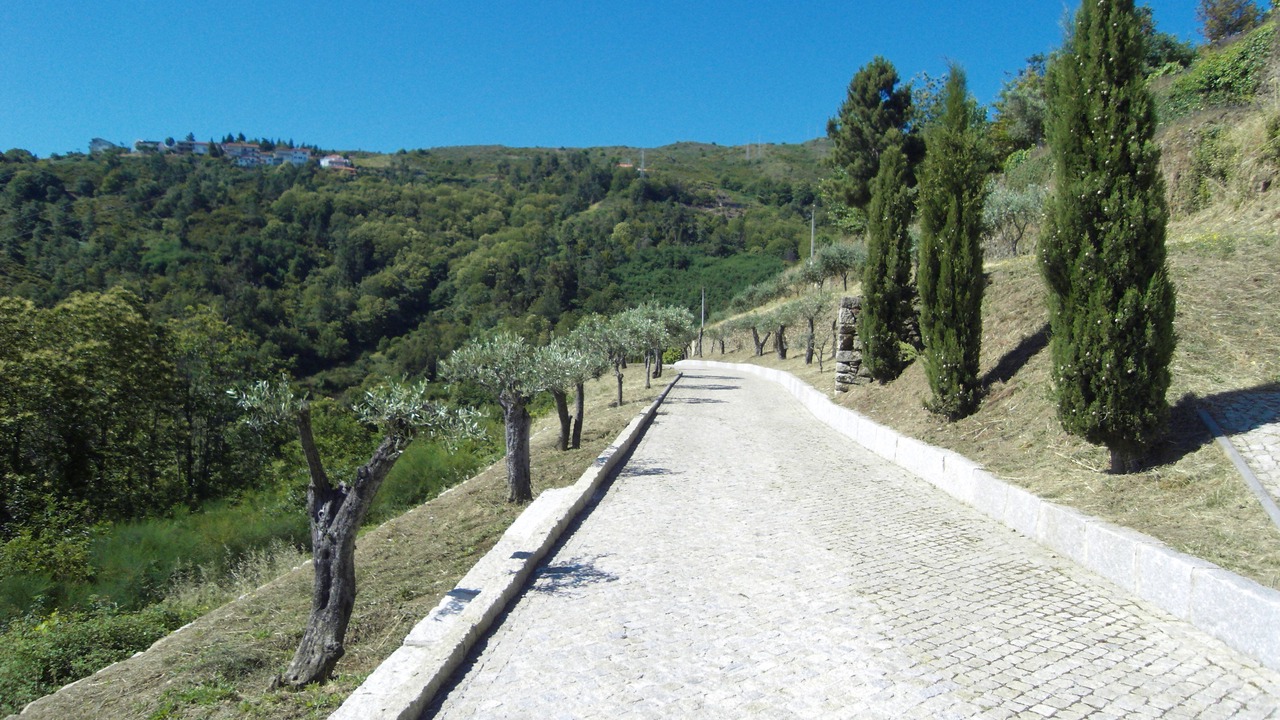 Photo of Outdoor in Lamego