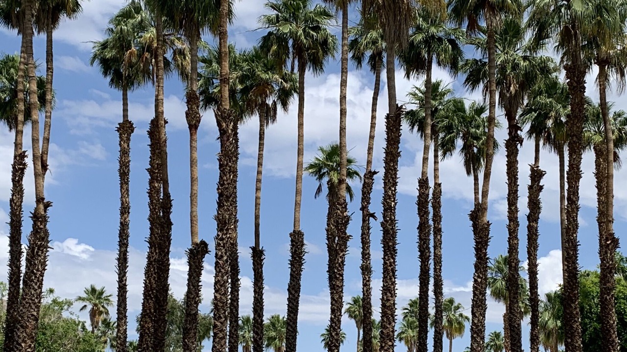Photo of Others in La Quinta