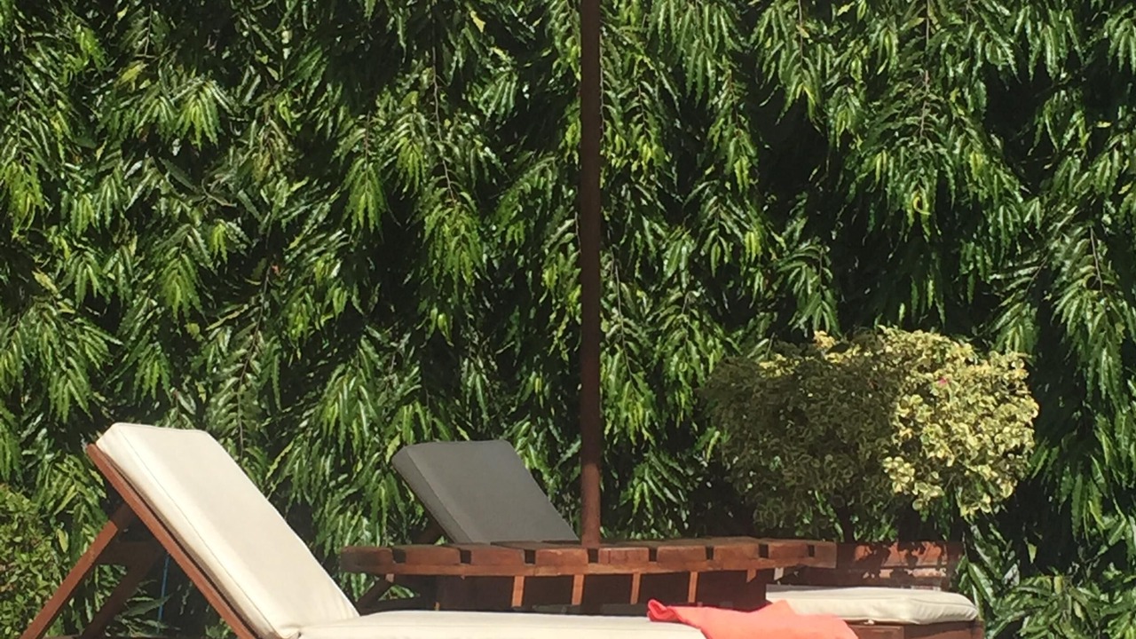 Photo of Outdoor in San Juan del Sur