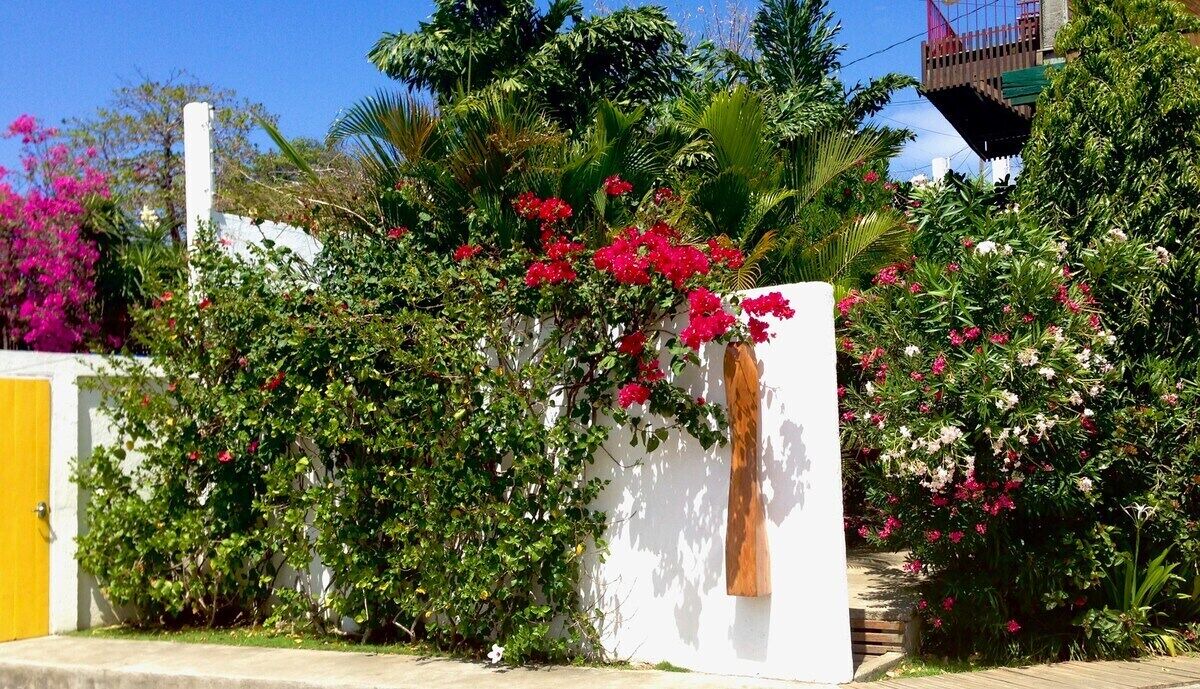 Photo of Outdoor in San Juan del Sur