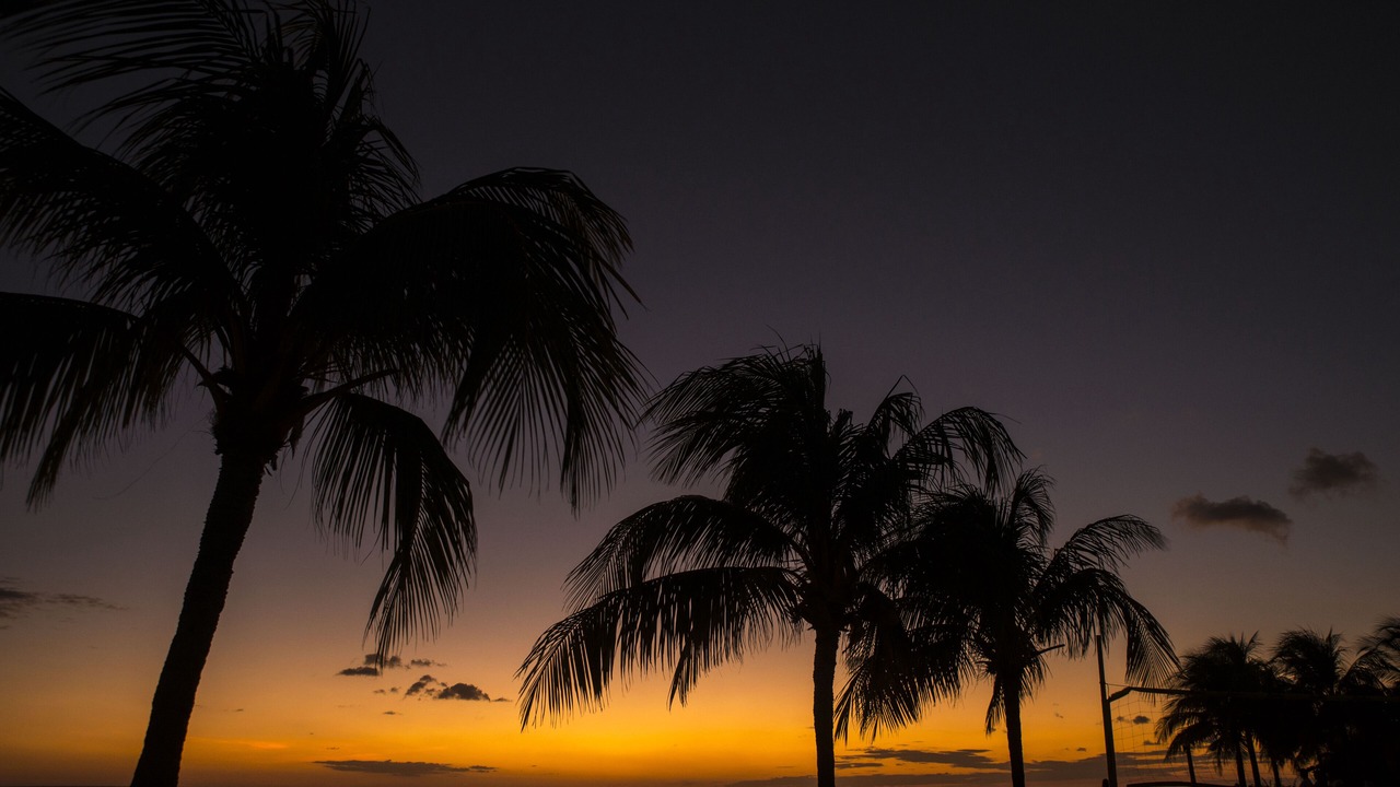 Photo of Others in Playa Colorado
