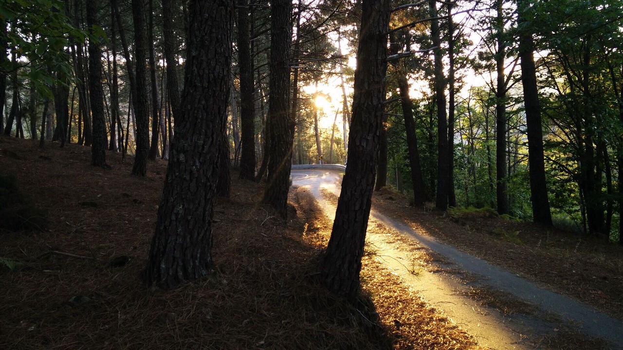 Photo of Outdoor in Manteigas
