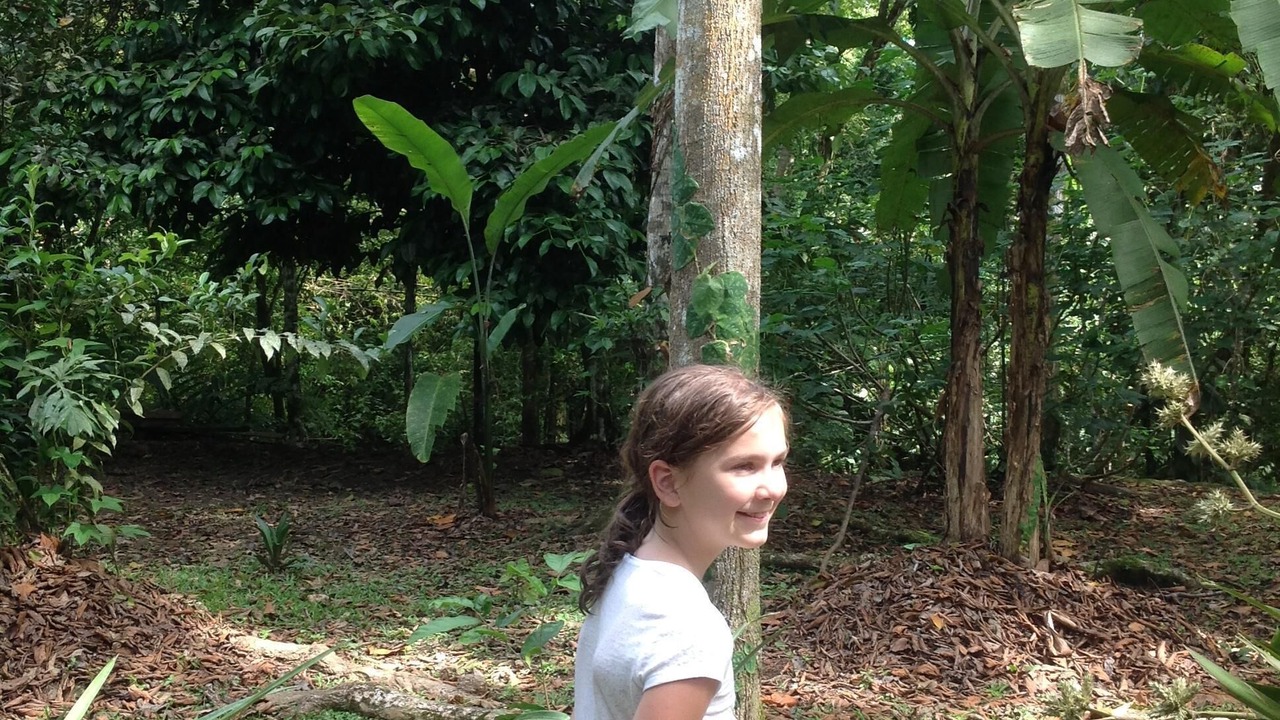 Photo of Outdoor in Limon