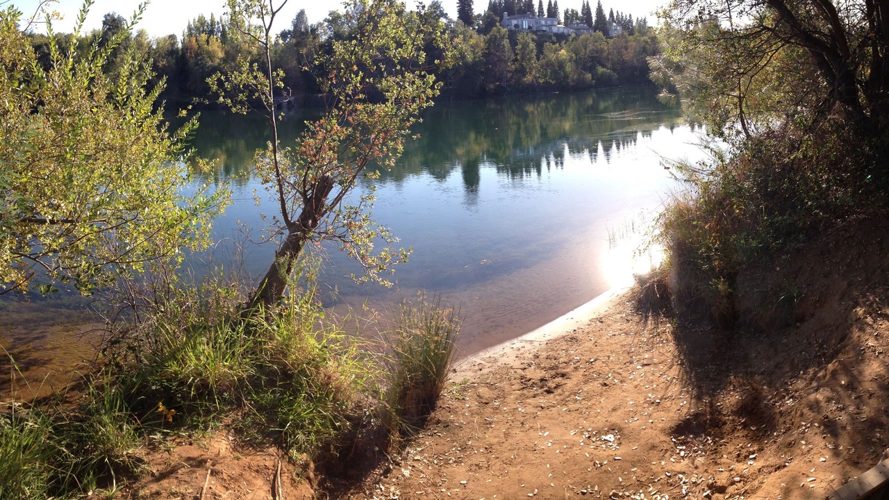 Photo of Others in Lake Redding