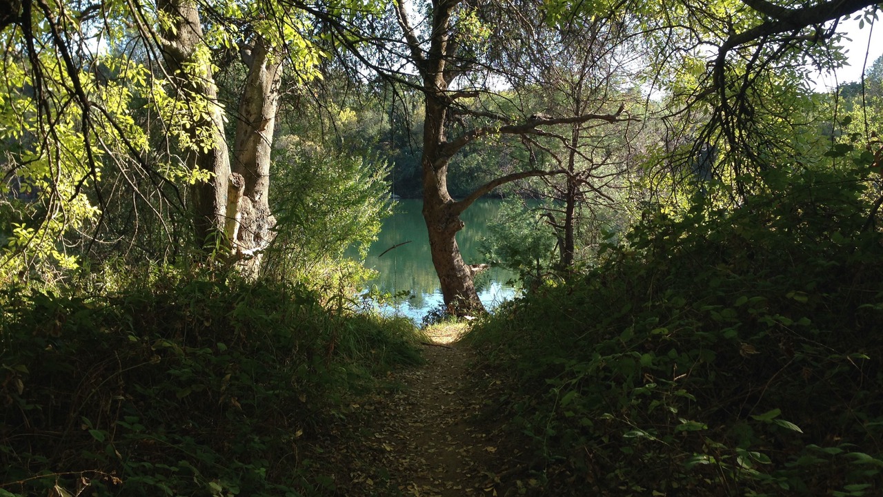 Photo of Others in Lake Redding