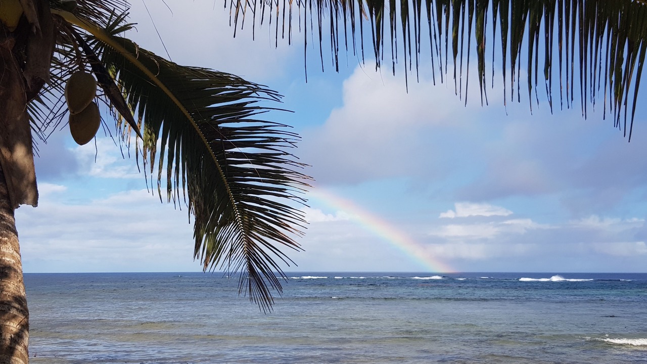 Photo of Outdoor in Savusavu