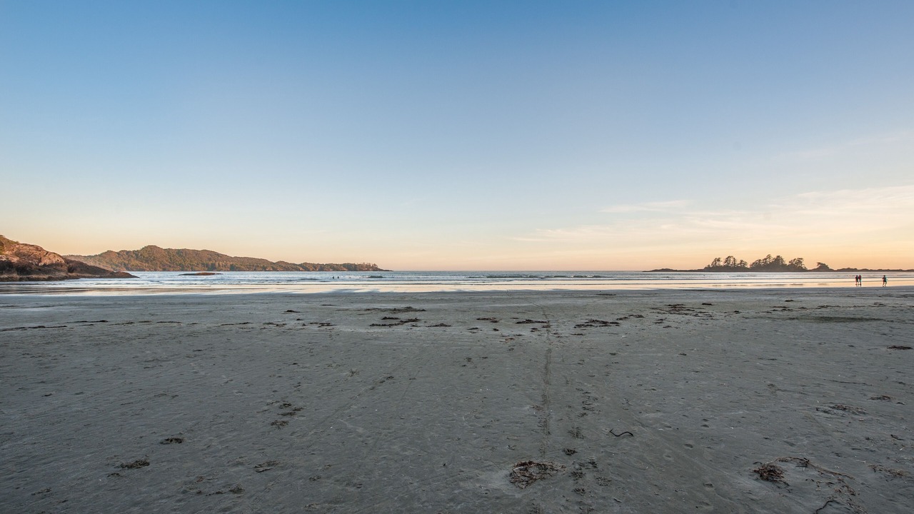 Photo of Others in Tofino