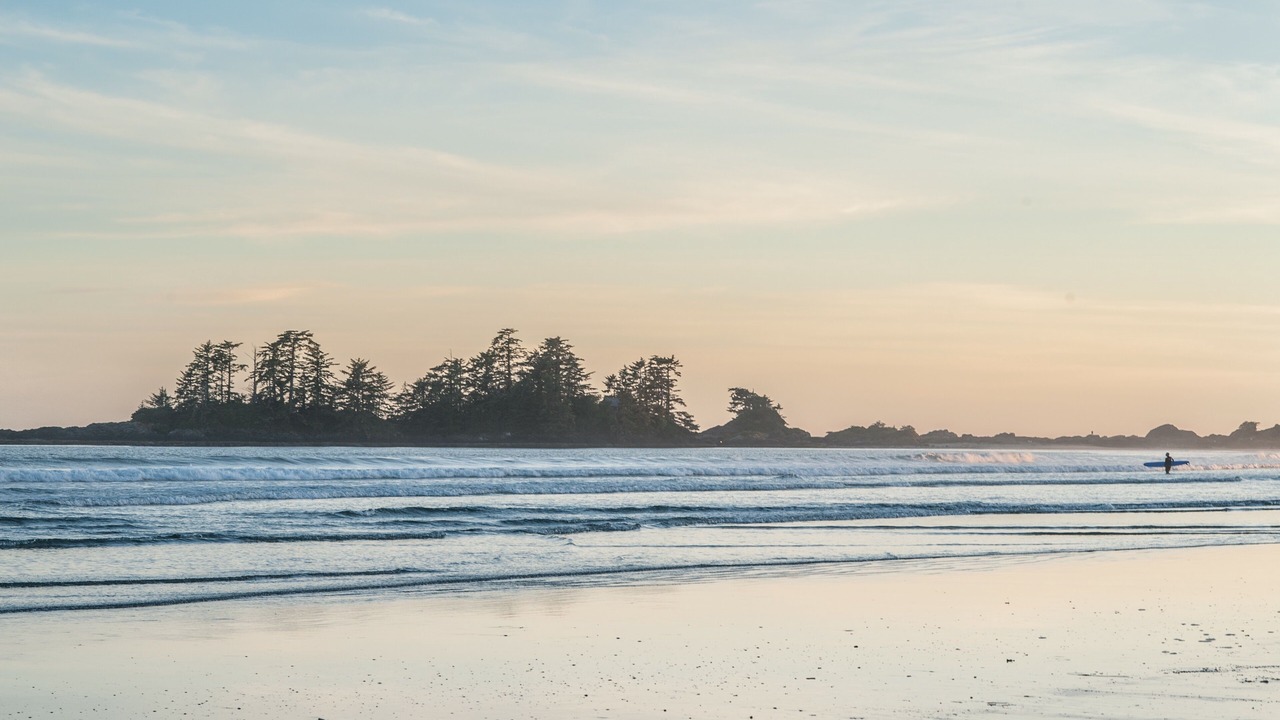 Photo of Others in Tofino