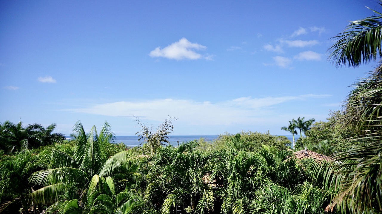 Photo of Others in Playa Langosta