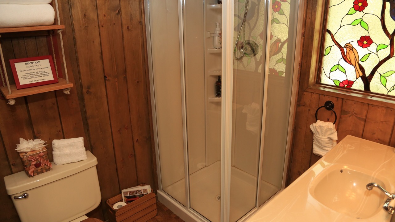 Photo of Bathroom in Idyllwild