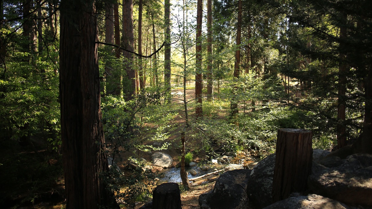Photo of Others in Idyllwild