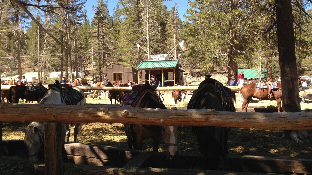 Photo of Others in Mammoth Lakes