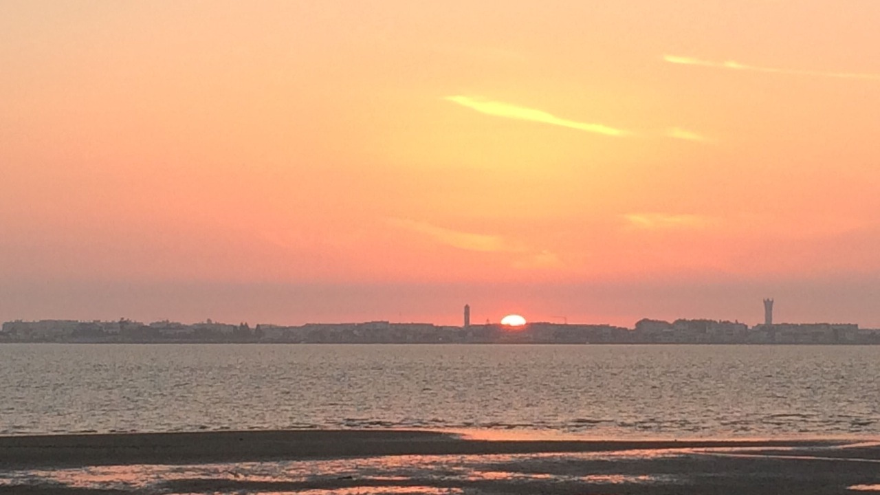 Photo of Others in Murtosa